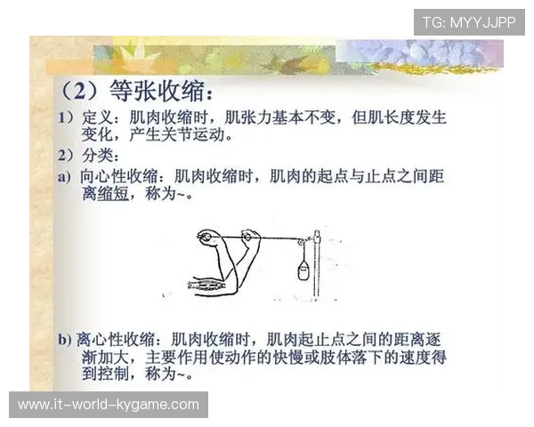 2026年游泳训练科研中心发布青少年专项耐力训练教材V5，游泳速度耐力训练计划
