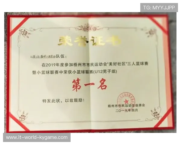 世界篮球学院建立导师制度为学员提供职业发展咨询，篮球教授是什么意思
